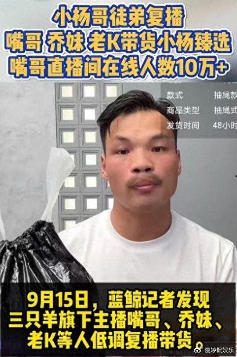 大小杨哥爆料嘴哥视频,精彩内容抢先看